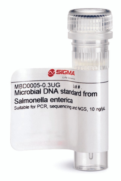 Microbial DNA standard from Salmonella enterica Suitable for PCR, sequencing and NGS, 10 ng/uL, 0.3ug