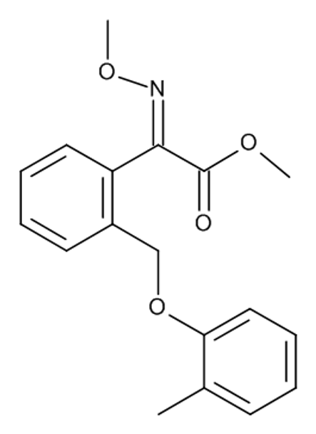 Kresoxim-methyl 1000 ug/mL in Acetone