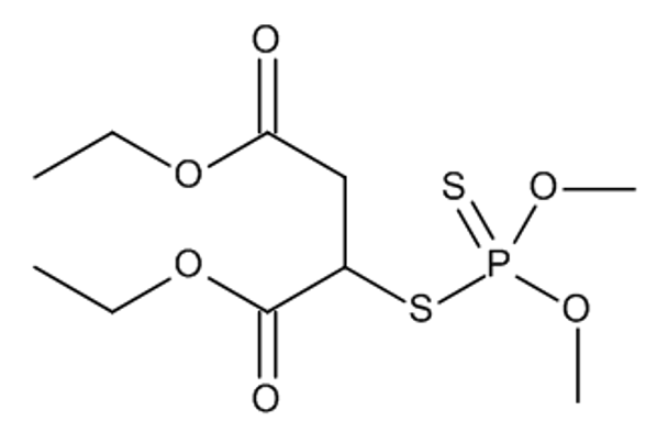 Malathion 1000 ug/mL in Toluene