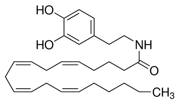 Arachidonoyl dopamine, (HPLC), ethanol solution, 5MG