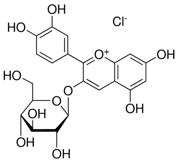Cyanidin 3-O-glucoside chloride United States Pharmacopeia (USP) Reference Standard, 15MG