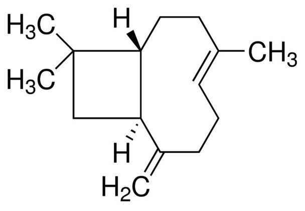 Beta-Caryophyllene, 20KG