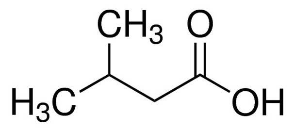 Isovaleric acid, analytical standard, 5mL