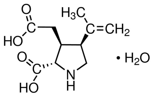 Kainic acid monohydrate, 10MG
