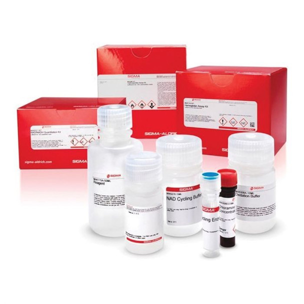 Free Amino Nitrogen Assay Kit