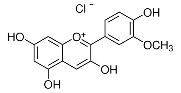 Peonidin chloride, 5MG