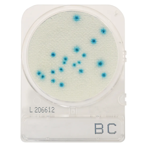 CompactDry Bacillus cereus (BC), for colony counts