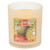 Mirisna svijeća MANGO TROPICANA 210g