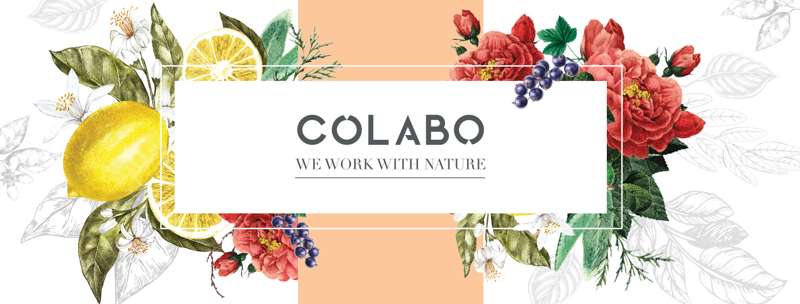 Colabo Nature - novi veganski parfemi na tržištu!