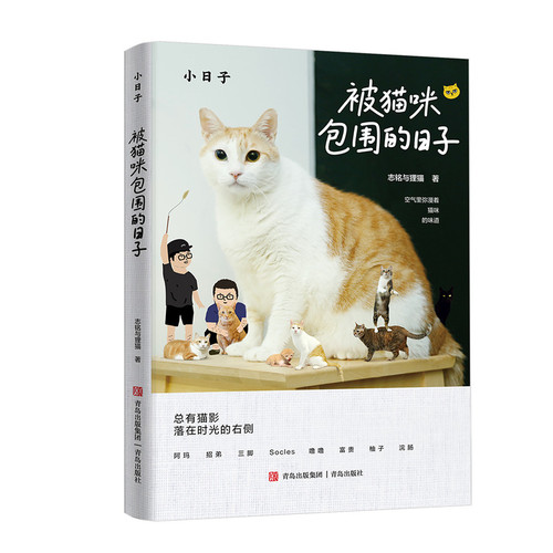 Days surrounded by cats/被猫咪包围的日子