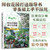 The design and layout of a super practical balcony garden/超实用 阳台花园的设计与布置