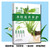Easy-to-use hydroponic flower care/容易上手的水培花卉养护