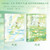 The third side of the coin/硬币的第三面