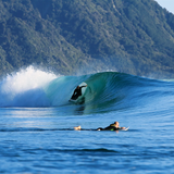 Catching Your First Wave: A Beginner's Guide to Surfing in New Zealand