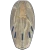 Sunova Ghost TR3Tec