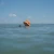 Surf Shell Coastal Boho - Protective Surf Hat