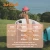 Surf Shell Coral Daze - Protective Surf Hat