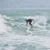 Surf Shell Surfing Skellies - Protective Surf Hat