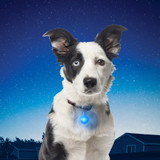 Nite Ize SpotLit Collar Light - Blue Plastic