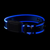 Nite Ize NiteDog Rechargeable LED Collar, Small - Blue LED