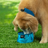 Nite Ize RadDog Collapsible Bowl - Blue