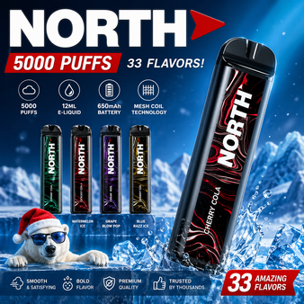 North Disposable Vape Blue Slurpie 5000 Puffs