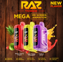 RAZ TN9000 disposable vape device with packaging, 9,000 puffs, 60mL e-liquid, 5 percent nicotine