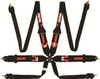 6pt Harness Camlock P/U Lap Black HNR FIA