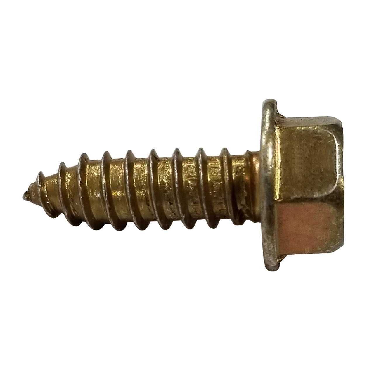 Rim Screw, Gold | Quarter-Max