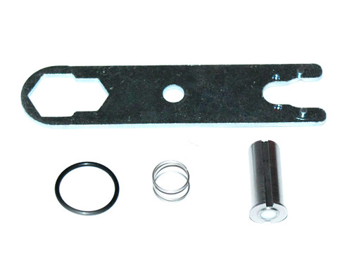 Induction Solutions 19864 Plunger Rebuild Kit | Quarter-Max