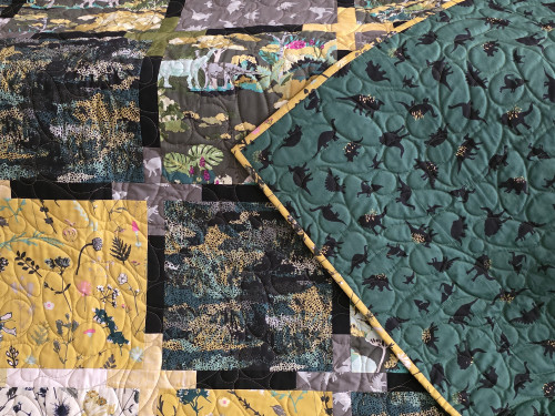 Dinosaur Park Quilt