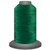 Affinity Variegated Thread Spool, Forest 60150