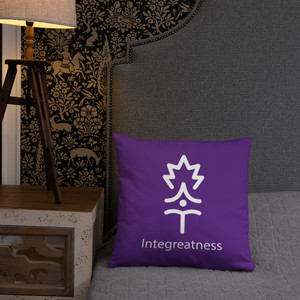 INTEGREATNESS Pillow INTEGREATNESS Pillow