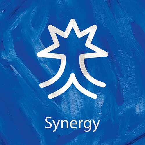 Synergy