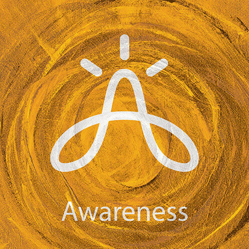 Awareness