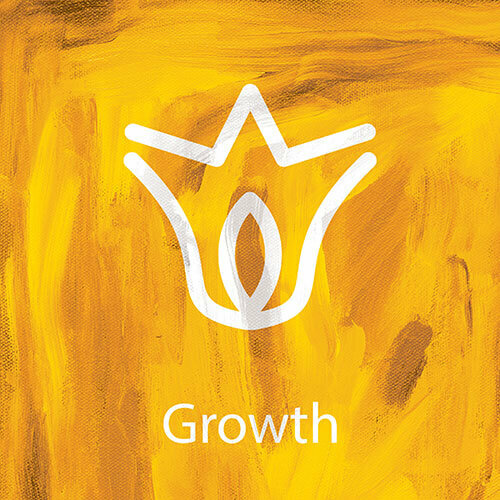 Growth
