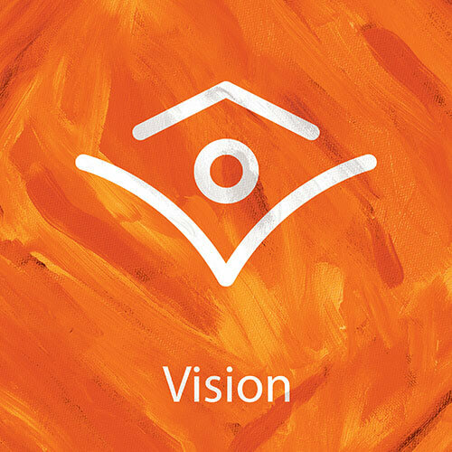 Vision