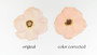 Color Correction for Pressed Flowers