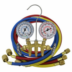 Manifolds and Gauges