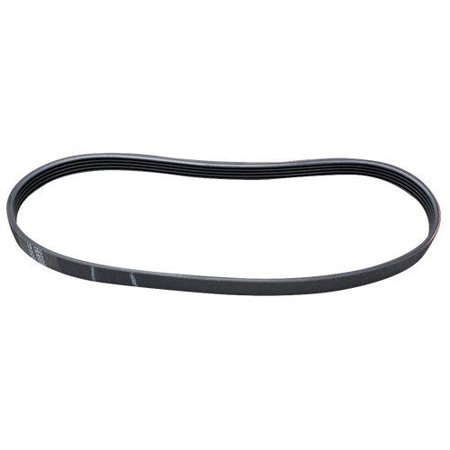 W10006384 Belt