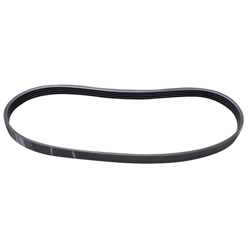 W10006384 Belt