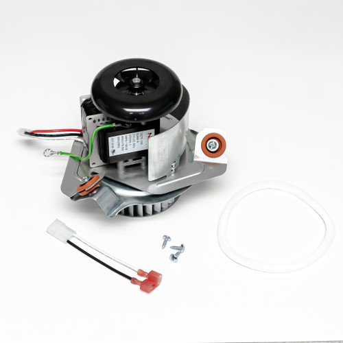 20503 Motor