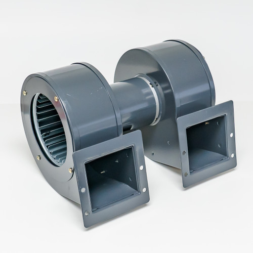 20529 Motor
