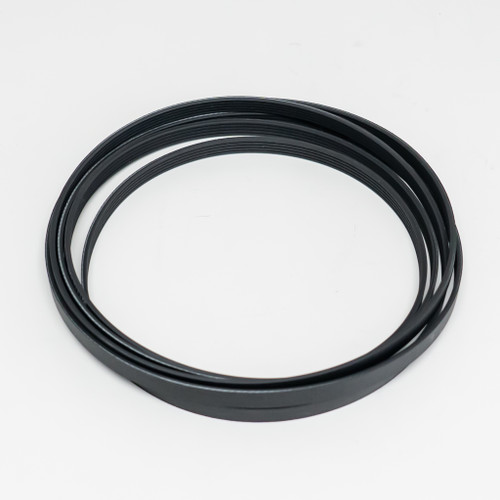 W11162091 Belt