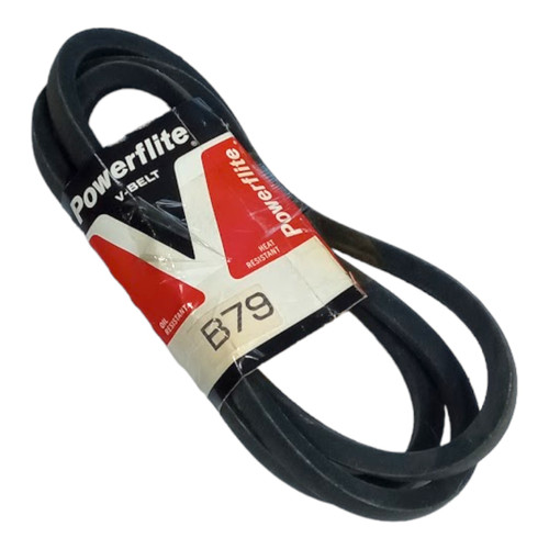 B79 V Belt