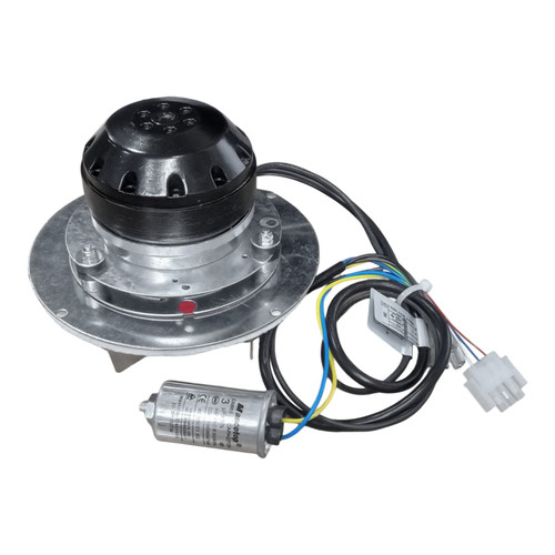 21121 Combustion Motor