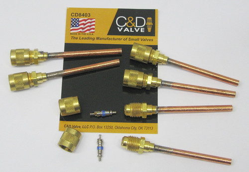 CD8403 Access Valves 6 Pack