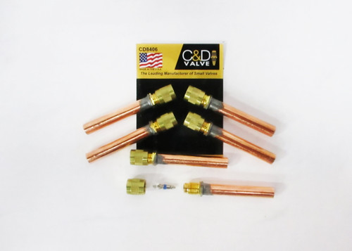 CD8406/6 Access Valve