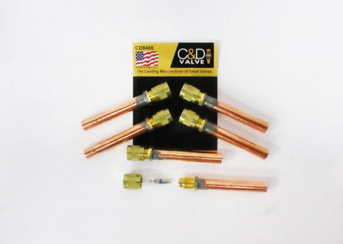 CD8406/6 Access Valve