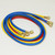 21986 Hose Set